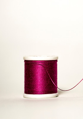 Image by amirali mirhashemian